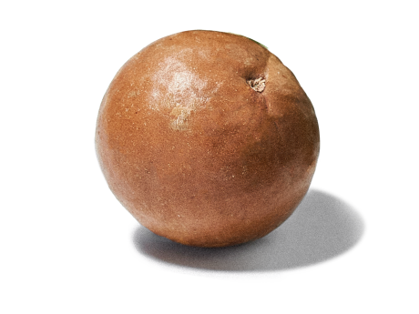 A macadamia nut isolated