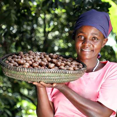 Organic Macadamia farmer female