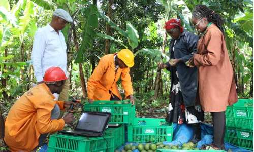 LIMBUA Agrar Team mit Kleinbauern