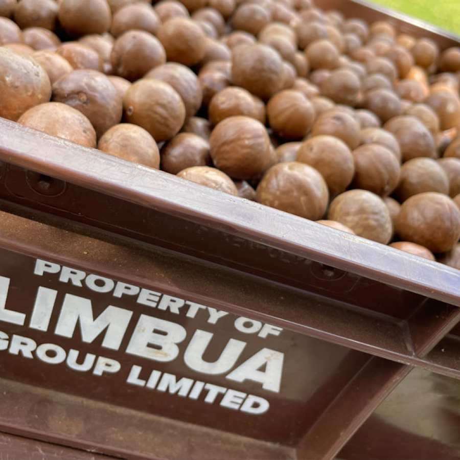 LIMBUA Bio Macadamia Einkauf