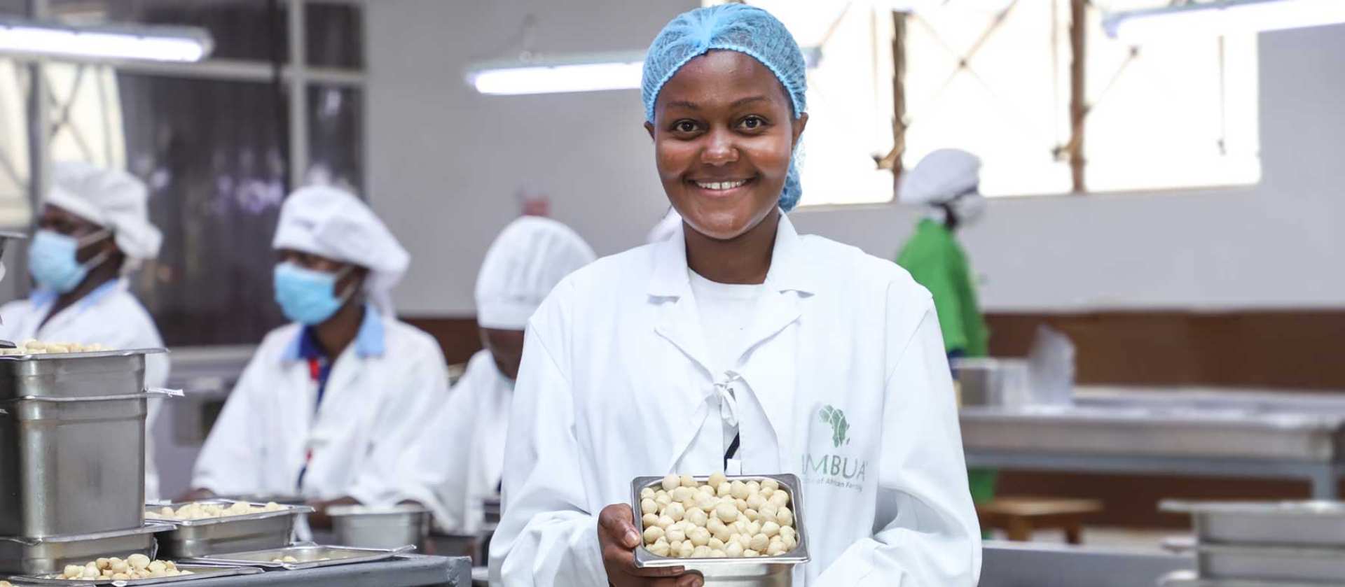 LIMBUA Macadamia Produktion