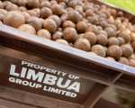 LIMBUA Bio Macadamia Einkauf