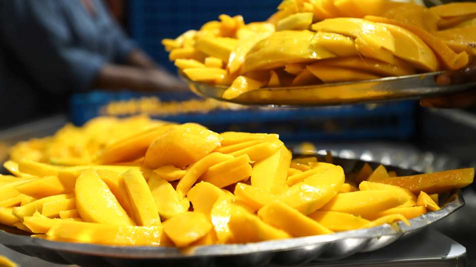 Mango Production